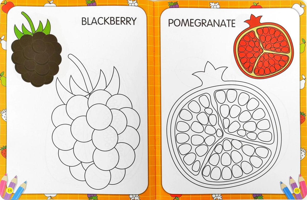 My First Fruits Copy to Colour Book (16 Pages)