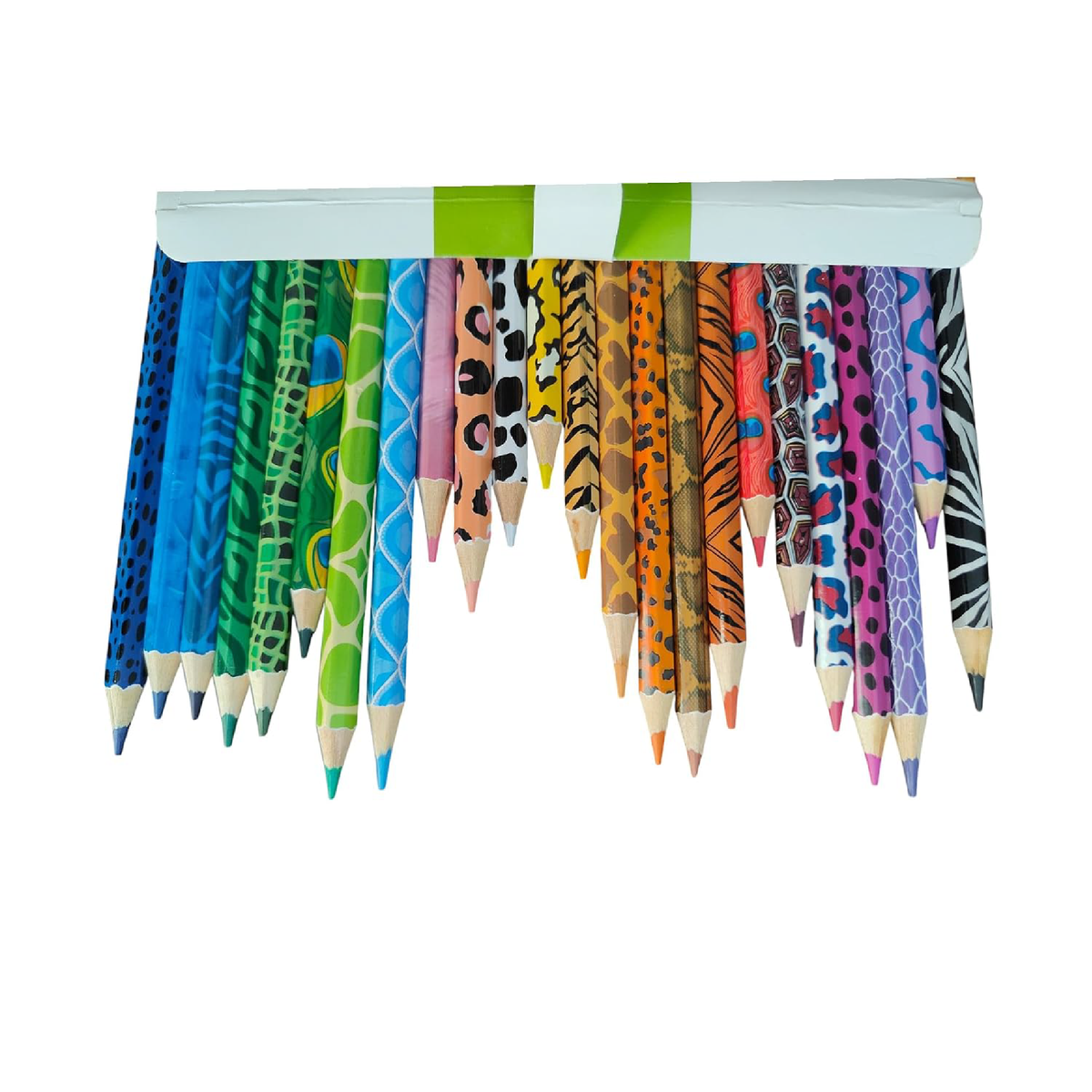 Jungle Safari 24-pack premium colour pencils, full set